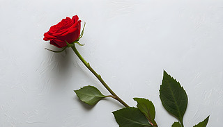 ޾