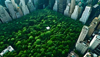 һ(g)MľGɫ빫@BDcA2