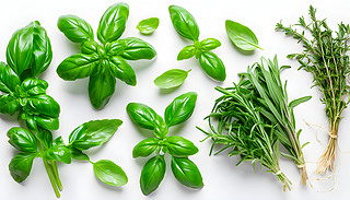 [[ĺԺ@ԳMЙC(j)_ֲ3