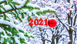 2021RrGļtɫ