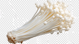 ᘹ宋
