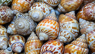 x^c(din)ͱȂؐď(f)s(x)(ji)