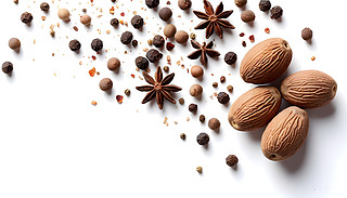 ⶹޢ԰ɫչʾЪص|(zh)غɫ