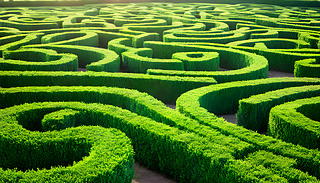 O(sh)Ӌ(j)Ļ@[[ľGɫԌm^p(sh)h