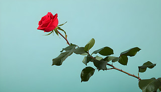 rGļtɫõ廨c͵Ĝ\Gɫγr