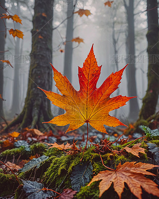 f(wn)ʥ(ji)ɭAI宋(hu)ڼ屳(bo)DƬز