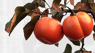 ի@(sh)＾tľ