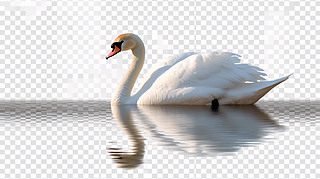 Zز
