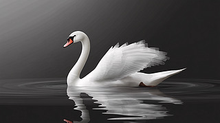 Z渡ˮD