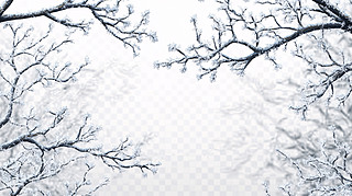 ֦֦