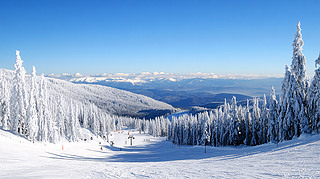 ѩȫ
