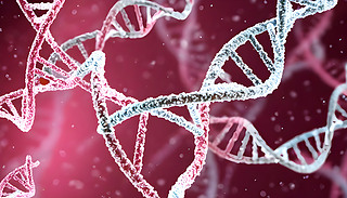 ߿Ƽҭh(hun)Џ(f)sDNAp