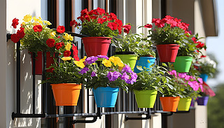 ˵(yng)_(ti)гM(mn)Ļ(qing)(yng)ⷿN