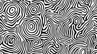opyopƴӎ׺ΈDָyDƬ