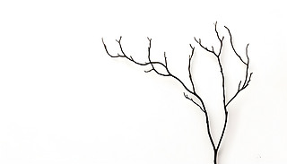 (yu)ŵĘOxѬ²ݾlˇg(sh)mϮ(dng)kҺ