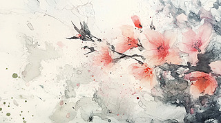 ʯ񻨳
