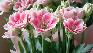 M(mn)İM(mn)ډ(mng)ðģ¾`