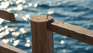 l(xing)庣I(chng)ǶL(fng)ľ