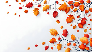 ꖹĵ＾@c(din)YMSɫľ