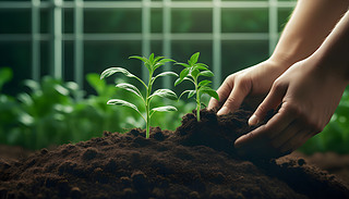 B(yng)ڷֵɫзNֲMľGɫ