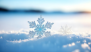 WWl(f)ѩԭʼѩ̺ϱůɫ