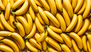 MSɫϳ㽶ˇg(sh)չʾ