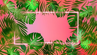 ɹ