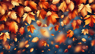 (ji)ԾW(wng)(y)MO(sh)Ӌ(j)չʾMė~K