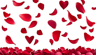 (ji)˹(ji)Mî_O(sh)ӋĵϢc