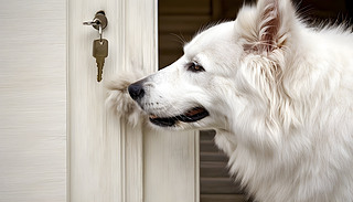 옷(l)Ĺ߅ķ耳˵ļǰ