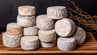 ζķʥ(ni)̩l(xing)ϵĿĺɫ