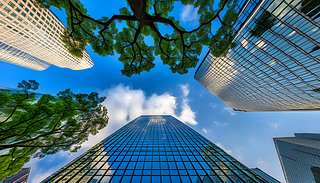 ǰ[[Ę(sh)ľ(gu)ɵӡ̵Ħ