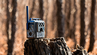 䘶ϵCڳM＾h(hun)бO(jin)