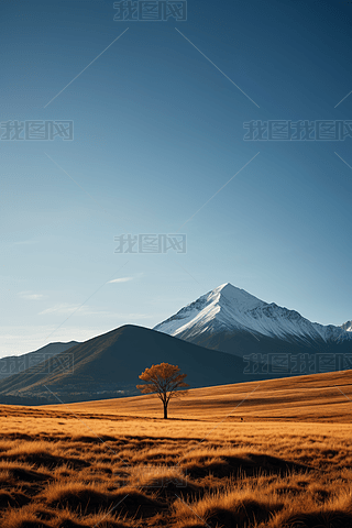 ҰһùһɽL(fng)DƬ