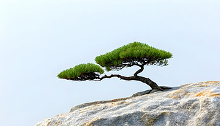 ªɘ䗫Ϣڎrʯ¶^ڌoİɫ