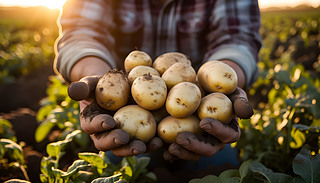 ۹r(nng)ꖹĵҰչʾr