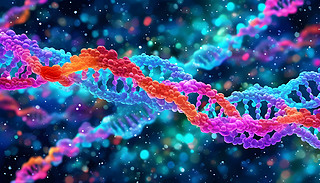 δɿƌW(xu)^SʵĳDNA͹@z