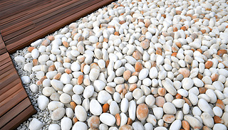 F(xin)^Ժðɫʯ^ľbС·