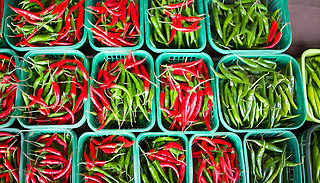 ľGɫͼtɫMıML(fng)ζ