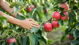 ꖹĵĹ@[[Ę֦ϒC(j)