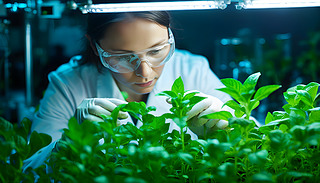 עĿƌW(xu)˹´׺ͷoR