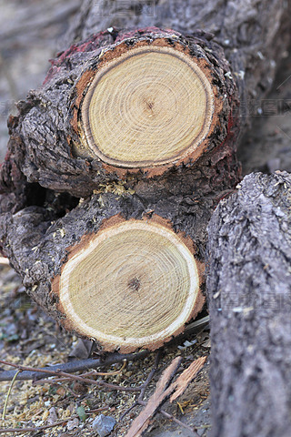 ľļy