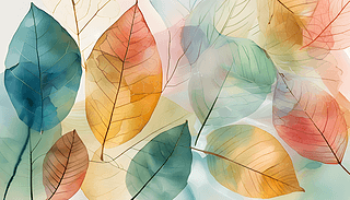 ͸ˇg(sh)ˮʘ~ˇg(sh)