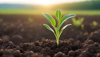 (dng)̫r(sh)¶һŋ۵恆ֲWWl(f)