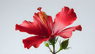 ɫrGĮ{(dio)ܽػ@@ĳF(xin)(ji)