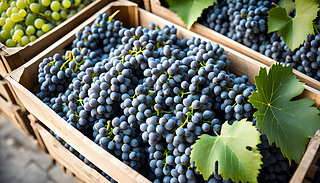 µľGɫ܇h(hun)@[[~ԭʼ