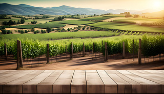 (sh)ˇg(sh)пľƿģш@^r(nng)I(y)