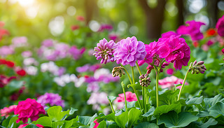 C(j)ɫ㻨c(din)Y[[Ĵ컨@