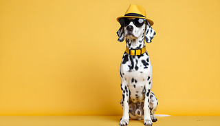 r(sh)еĹñӺ̫RڳMı