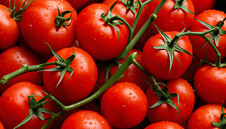 l(xing)r(nng)(chng)³Mļtɫ